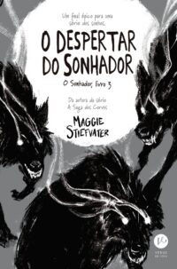 DESPERTAR DO SONHADOR, O: O SONHADOR VOL. 3