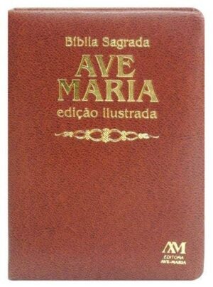 Biblia Sagrada Am Media - Luxo