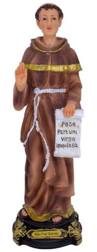 Frei Galvao, Sao 30cm Resina Ref 5297 Iracema