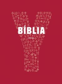 Biblia Jovem - Youcat Cristal