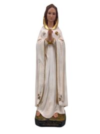 Rosa Mistica, Nsa 50cm Durata Cor Pd14 - Florenca Costa