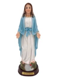 Nossa Senhora das Gracas 20cm Resina Alj21c42m-8-,